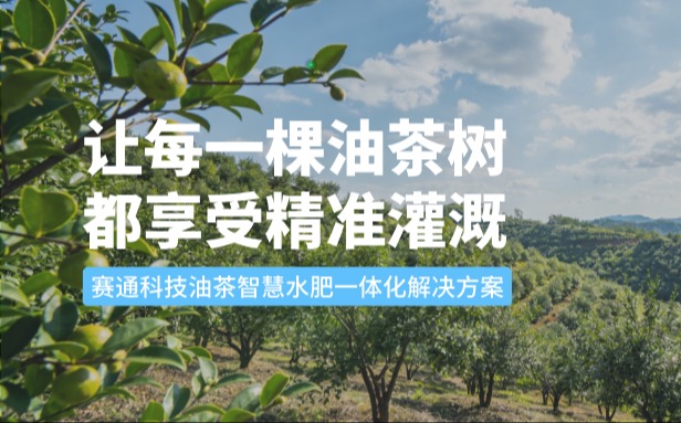 赛通科技油茶kdpay钱包(中国)水肥一体化解决方案：让每一棵油茶树都享受精准灌溉